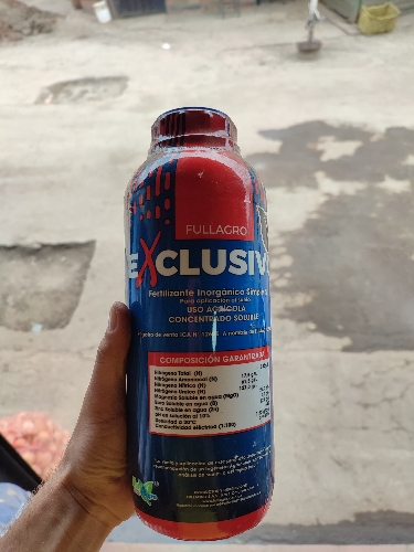 Exclusivo