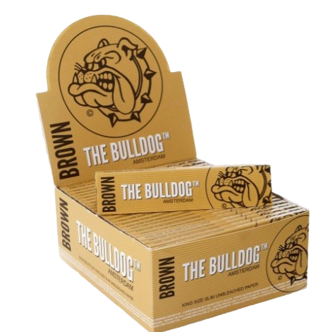 Seda the bulldog  brown