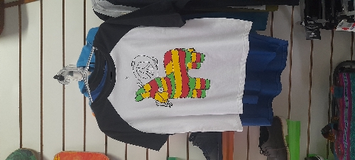 Camisa  feminina