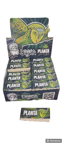 Piteira de papel pra lá de bagdá planta