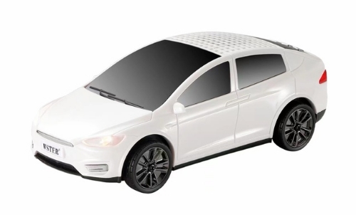 REPRODUCTOR CARRO WS 595