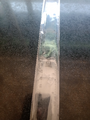 Regla de plástico 30cm