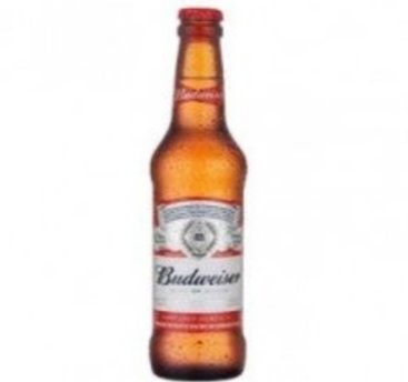 Cervejas log net budwaiser 330ml