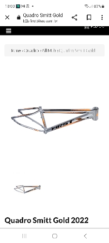 Quadro smitt gord cromo laranja/pto brilho 19 FIRST