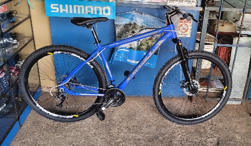 Bicicleta aro 29 azul brilho alumí 19 FIRST