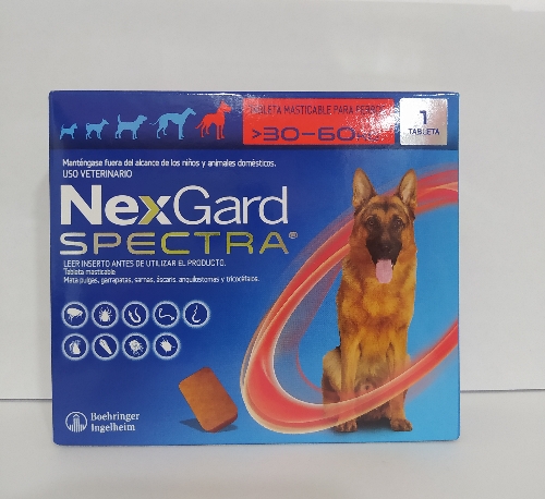 NexGard Spectra>30 - 60kg