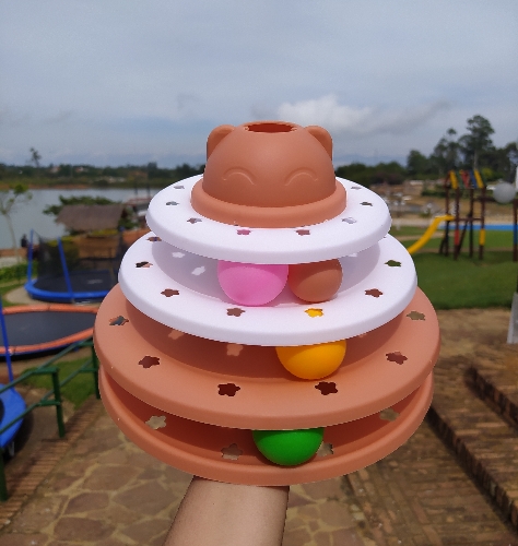 Juguete didáctico para gatos, colorbox
