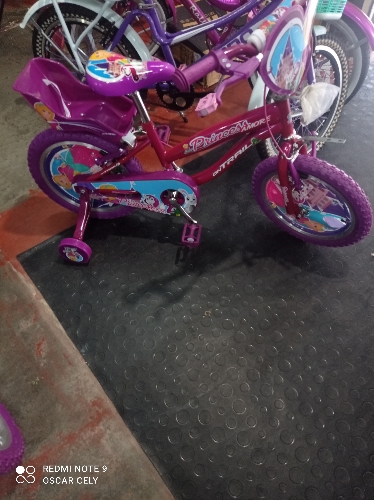 Bicicleta 16 ontrail princesa more