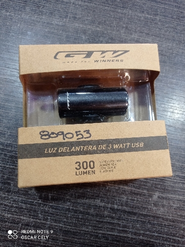 Luz Gw 300 lum redonda