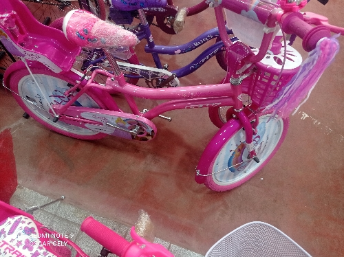 Bicicleta 20 GW princess story