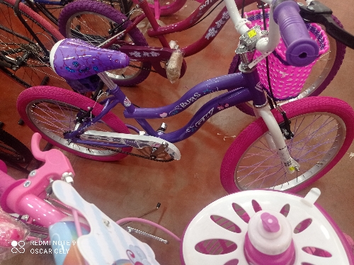 Bicicleta 20 GW bugs