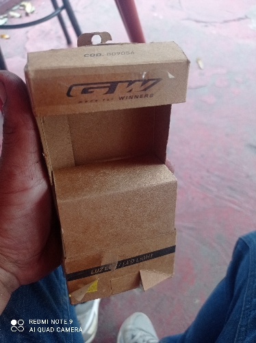 Luz trasera gw 809056