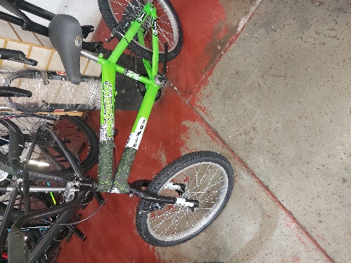 Bicicleta 20 Roca nacional
