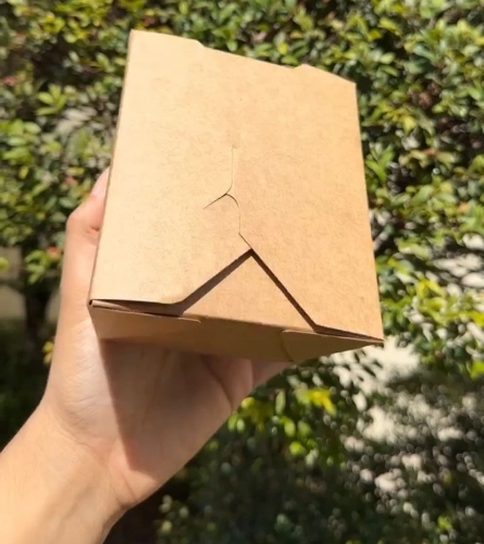 TAKE OUT BOX PEQUEÑA