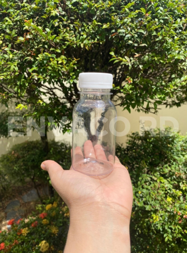 BOTELLAS PLÁSTICA 6 OZ