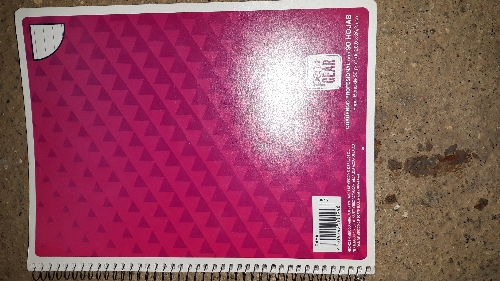 libreta a rayas pen Gear