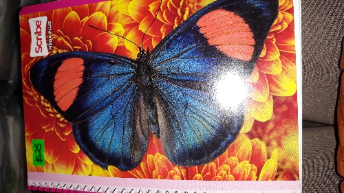 Libreta chica scribe rayas