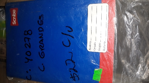 cuaderno cocido cuadros gdes francess