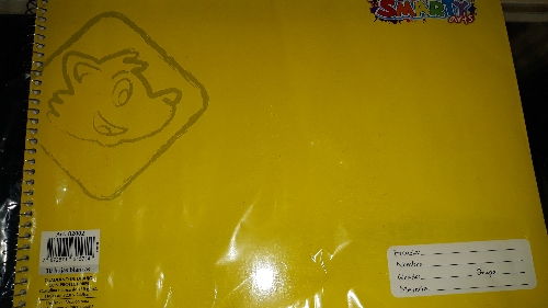 Aguilucho Smarty 30 hojas