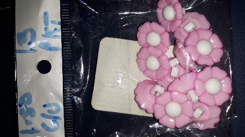 Botones rosados en flor