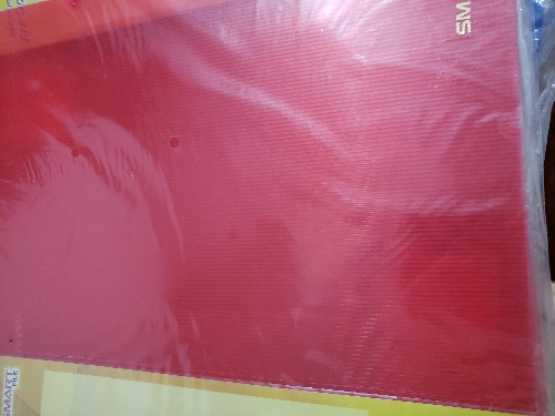 Folder tamaño carta rojo de plástico con broche