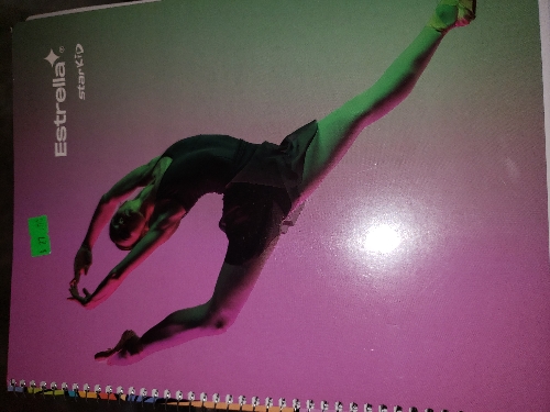 Libreta profesional a Rayas mca estrella