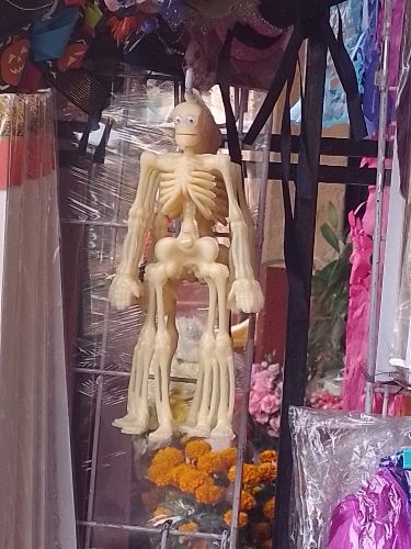 Esqueleto plástico con ojos