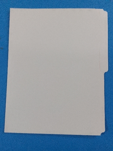 Carpeta amarilla tipo carta