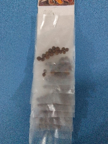 Guayabita en bolitas