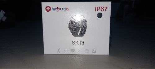 Sk13