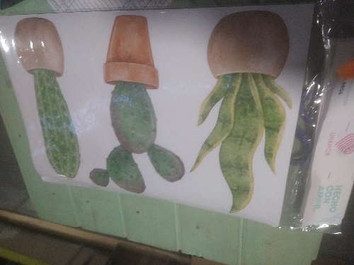 842 vinilo cactus x3