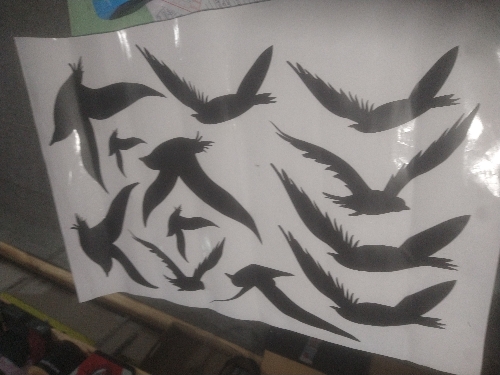 844 vinilos pajaros