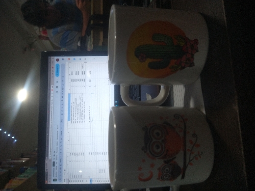 971 taza lata rosa flores nevadas