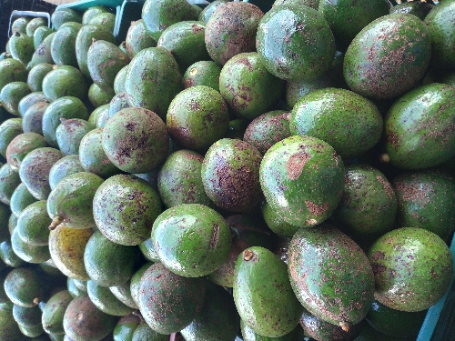 Aguacates
