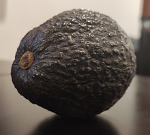 Aguacate de anís
