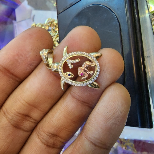 Medalla tortuga 2.1