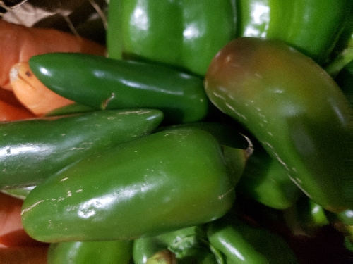 Jalapeño