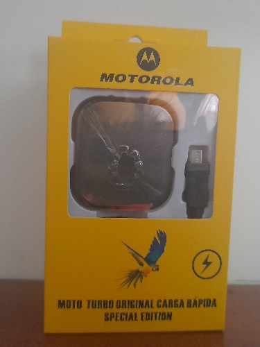 Cargador Moto Turbo V8 - C